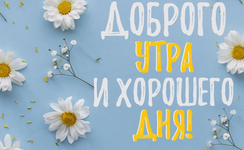 Позитивные картинки с добрым утром и хорошего дня