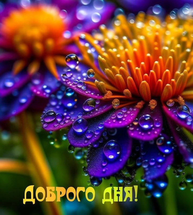 Инструменты для создания персонализированных открыток