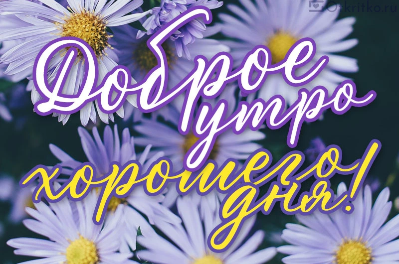 Картинки доброе утро хорошего дня