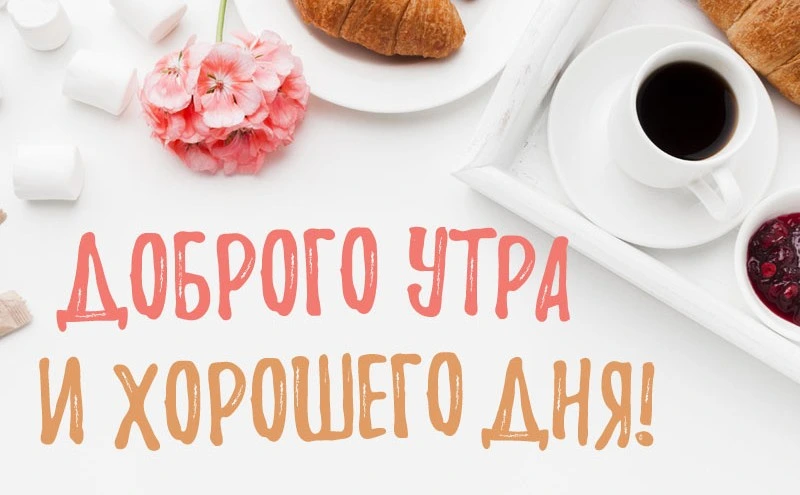 Популярные темы и сюжеты в утренних картинках