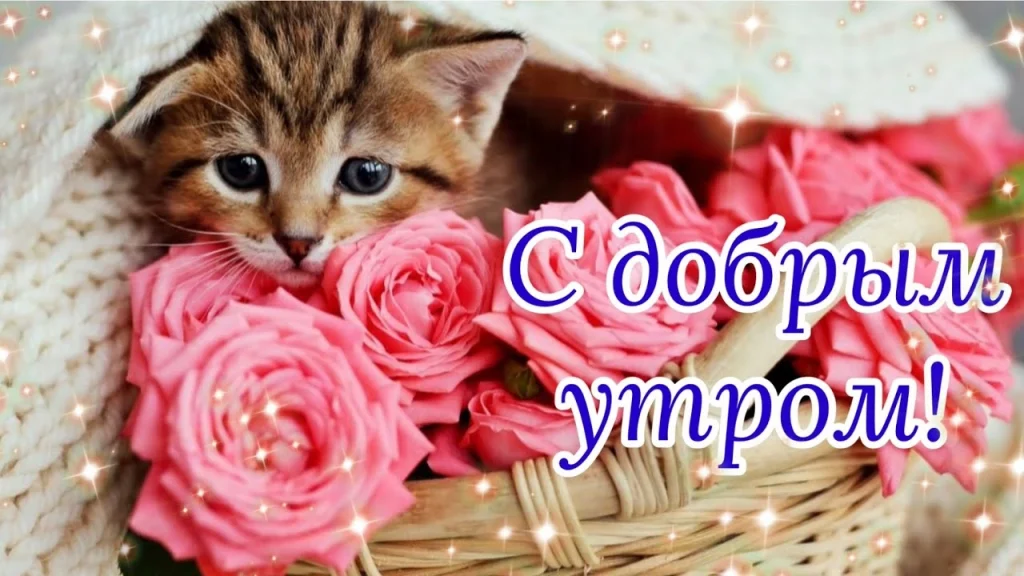 Способы создания электронных открыток с добрым утром